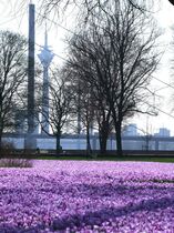 Rohrreinigung und Kanalsanierung in Düsseldorf GreAt Rohrreinigung und Kanalsanierung