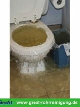 GreAt Rohrreinigung und Kanalsanierung alltägliche Begegnungen