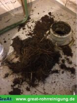 GreAt Rohrreinigung und Kanalsanierung alltägliche Begegnungen