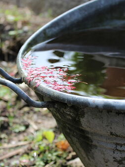 Schmutzwasser, Grauwasser, Schwarzwasser