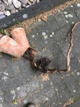 GreAt Rohrreinigung und Kanalsanierung Wülfrath