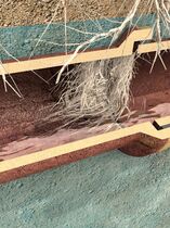 GreAt Rohrreinigung und Kanalsanierung Schadensbild Wurzeleinwuchs