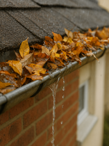 Great Rohrreinigung Kanalsanierung Fallrohre 02