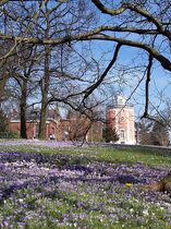 GreAt Rohrreinigung und Kanalsanierung