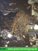 GreAt Rohrreinigung und Kanalsanierung alltägliche Begegnungen