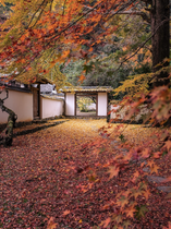 Great Rohrreinigung Kanalsanierung Fallrohre 03